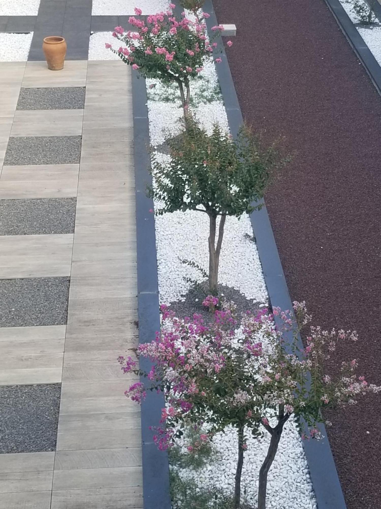 Antony Real Bed & Breakfast Orange  Luaran gambar